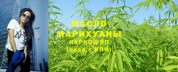 СК Ельня