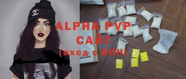 СК Ельня