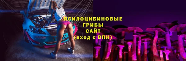 амф Александровское