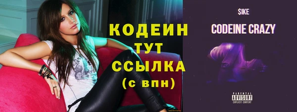 СК Ельня