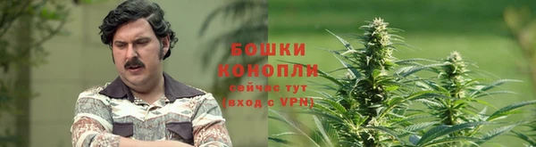mdma Елабуга
