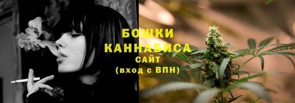 СК Ельня