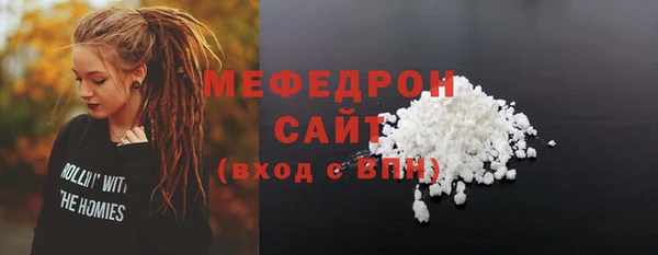 СК Ельня