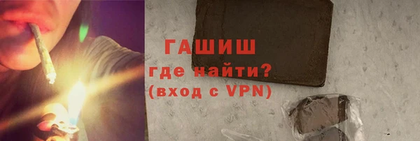 СК Ельня