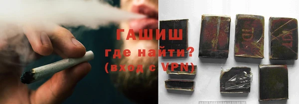 СК Ельня