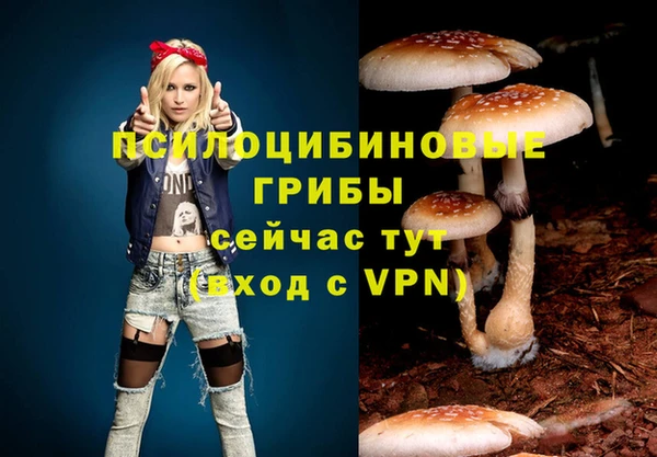 синтетический гашиш Елизово
