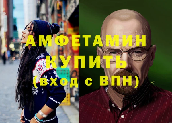 СК Ельня