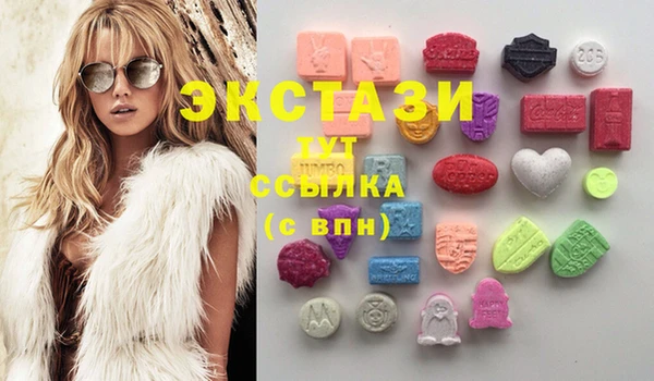 СК Ельня