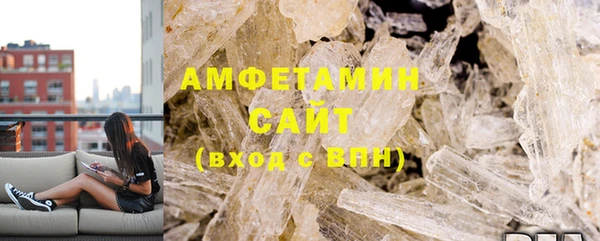 СК Ельня