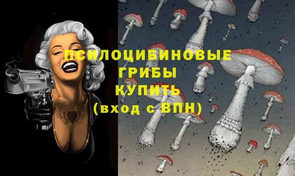 mdma Елабуга