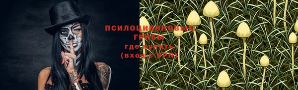 mdma Елабуга