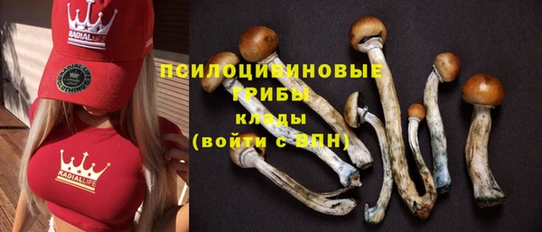 mdma Елабуга