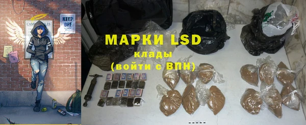 СК Ельня