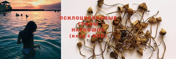 СК Ельня