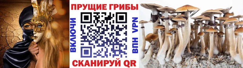 Псилоцибиновые грибы GOLDEN TEACHER  сколько стоит  Гулькевичи 