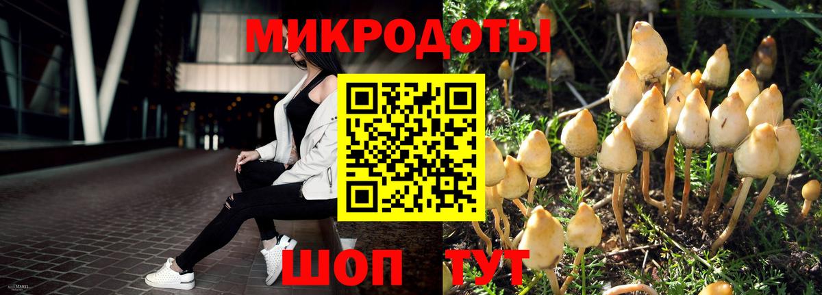 Псилоцибиновые грибы MAGIC MUSHROOMS  Вход с VPN  где найти наркотики  Галлюциногенные грибы прущие грибы  Гулькевичи 