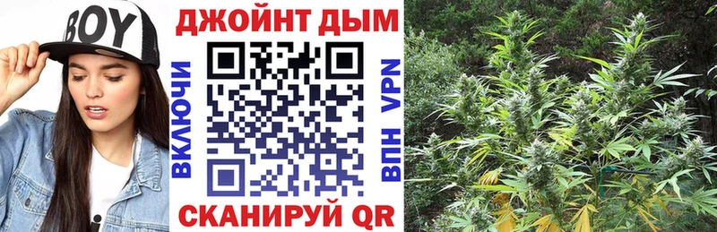 Каннабис семена  Гулькевичи 